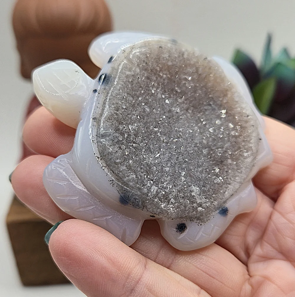 Druzy Agate Turtle Crystal Carving